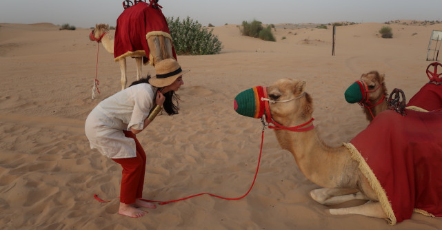 Turist în Dubai: Secrete și trucuri pour les connaisseurs