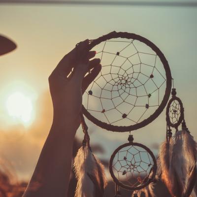 6 lucruri fascinante despre VISE