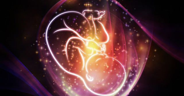 Pregatirea pentru conceptie - prima datorie a unui parinte