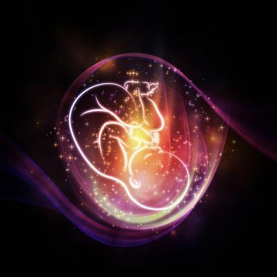 Pregatirea pentru conceptie - prima datorie a unui parinte