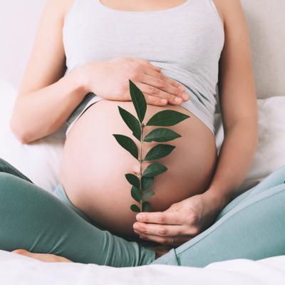 Săptămâna a 11-a de sarcină: cum se dezvoltă bebelușul și ce se întâmplă cu corpul mamei 
