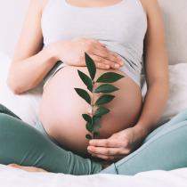 Săptămâna a 11-a de sarcină: cum se dezvoltă bebelușul și simptomele mamei