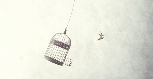 Părerea lui Radu: Admir capacitatea oamenilor de a se simți liberi