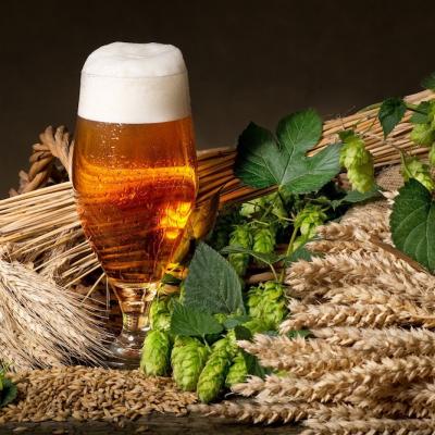 Relația dintre consumul de alcool și alimentație