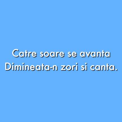Ghicitori cu animale: Oare cate reusesti sa rezolvi?