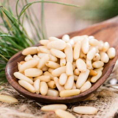 SEMINTELE DE PIN: 16 motive puternice ca sa te indragostesti lulea de ele