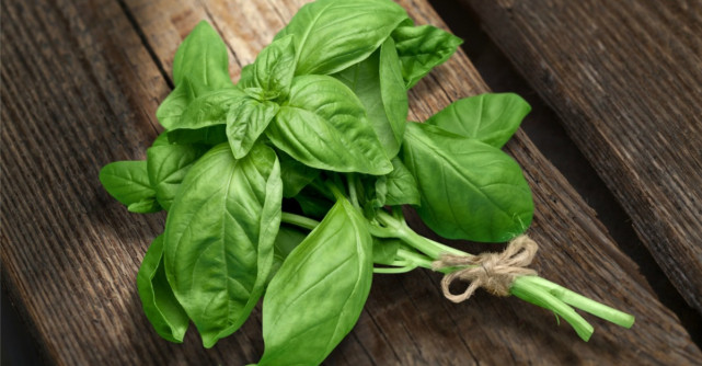 Efectele miraculoase și nebănuite ale busuiocului