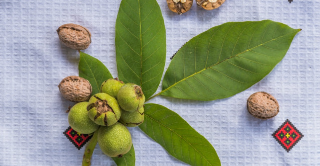 Frunzele de nuc: beneficii pentru sanatate