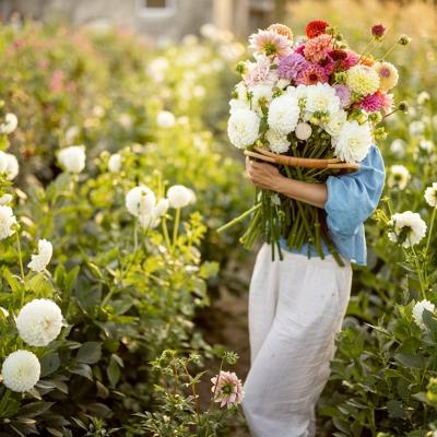 Mesaje de Florii. Cele mai frumoase urări pentru sărbătoriții acestei zile