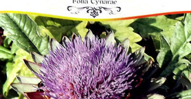 Ceaiul de ANGHINARE: beneficii