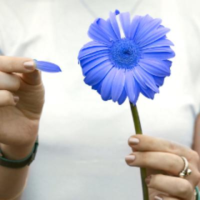 Astrologie: Trasaturi, compatibilitate si iubire in horoscopul floral