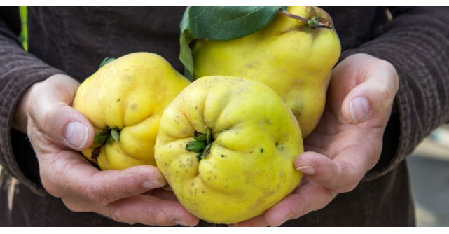 Fructele de toamna care intaresc imunitatea si trateaza anemia