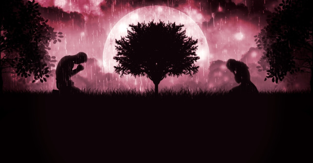 Când o să privești în urmă, o să-ți dai seama că durerea ți-a fost cel mai bun profesor 