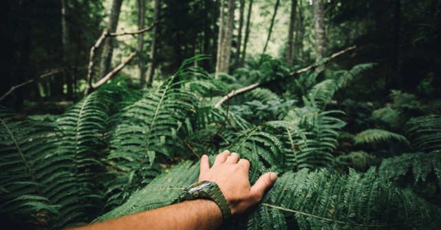 Influencer celebru la Survivor România! Big blană sus jos cap coadă!