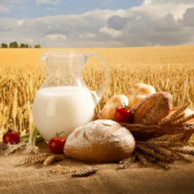 Expertii europeni - Motive pentru a consuma cereale