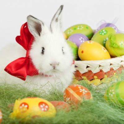 Cele mai frumoase imagini de Paste