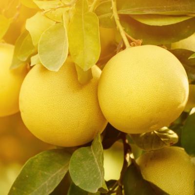 Cât de sănătos este pomelo? Multă lume nu știe acest lucru