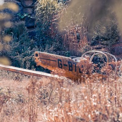 TRAGEDIE AVIATICĂ ÎN VASLUI | Un avion de mici dimensiuni s-a prăbușit într-o zonă împădurită. Pilotul a murit pe loc