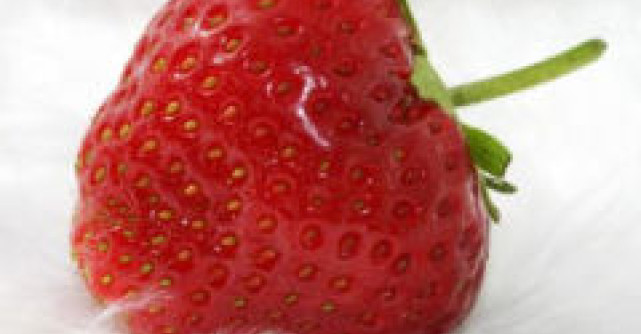 Un Craciun cu 'hrana vie'. Fara porc, sarmalute si cozonaci!