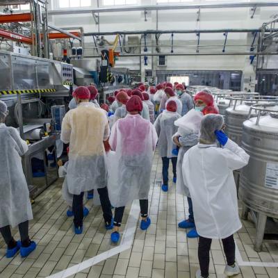 Danone a deschis porțile fabricii din București celor care au dorit să vadă cum se produce iaurtul