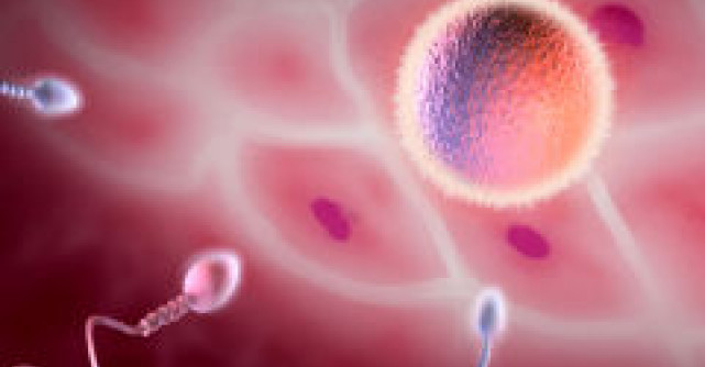 Program de fertilizare in vitro