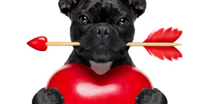 Bancuri bune despre Ziua Indragostitilor