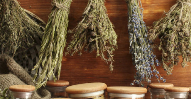  Ghidul plantelor medicinale si aromatice de la A la Z 