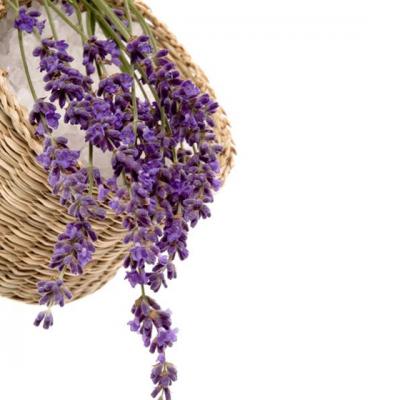 Miraculoasele plante antistres: Tratamente si utilizari practice 