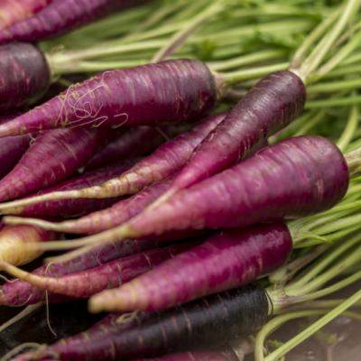 Morcovul violet, o sursa de sanatate. Uite ce beneficii are asupra organismului