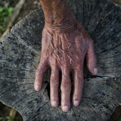 Pilda care te va face sa fii un om mai bun