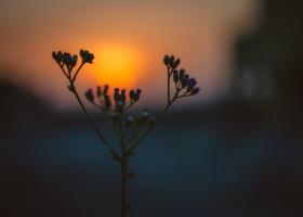 Transformă-ți diminețile cu MESAJE DE BUNĂ DIMINEAȚA: Începe ziua cu zâmbete și gânduri pozitive!