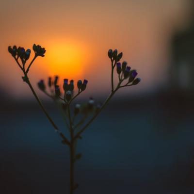 O zi frumoasă: Spune-i bună dimineața la cafea cu urări  DE BUNĂ DIMINEAȚA