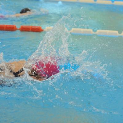 Concursul de înot ”Micul Delfin” by Baby Spa a ajuns la ediția a IX-a