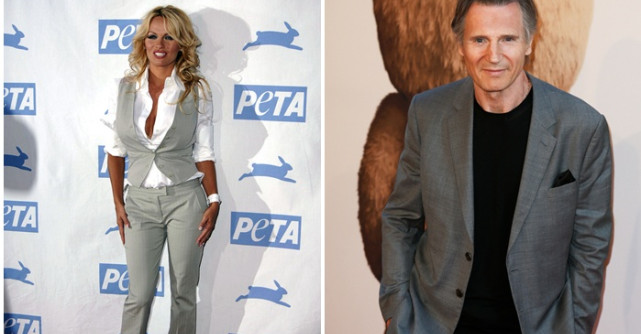 Pamela Anderson și Liam Neeson formează cel mai nou cuplu de la Hollywood. Cum au apărut cei doi actori