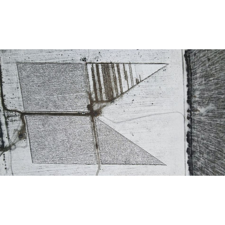 Kaufland România a plantat o pădure egală cu numărul de angajați la Scorțeni, județul Prahova