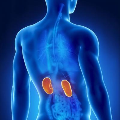 SUPERtratament modern: Scapa de PIETRE LA RINICHI fara durere si fara incizii