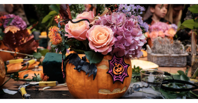 Dovleci, mister și culorile toamnei în colecția de Halloween de la Floria.ro