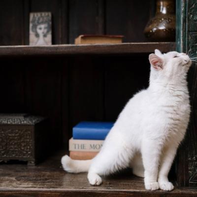 20 de citate pline de inspirație de Matt Haig care-ți vor alina sufletul în cele mai grele momente