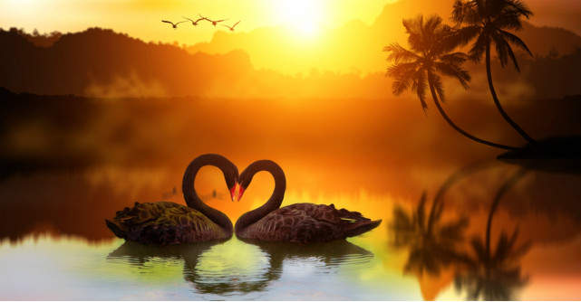 Șapte pași pentru a atrage mai multă iubire în viața ta