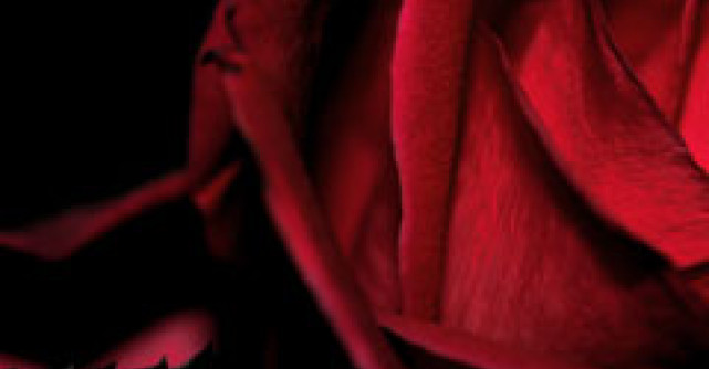 Iubirea - cel mai puternic analgezic