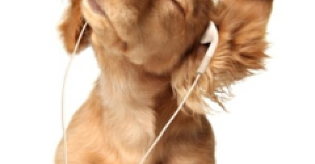 Vezi aici nominalizatii de la American Music Awards 2011