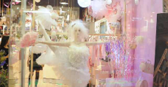 Monica Petrica - ambasadoarea Dimensione Danza in Romania