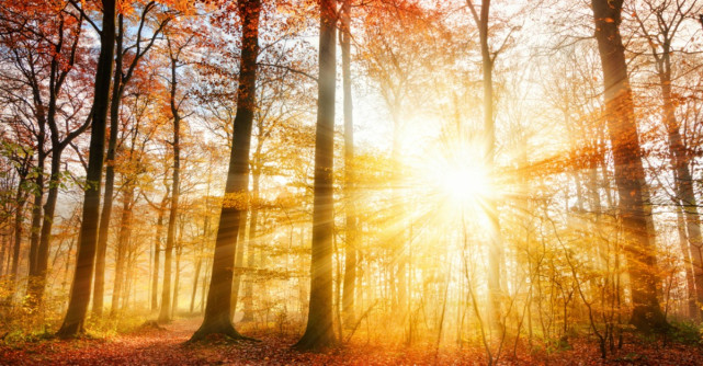 Echinocțiul de toamnă 2019. Când începe oficial toamna astronomică?