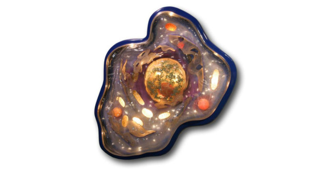 Descoperire: Diabetul, provocat de un virus!