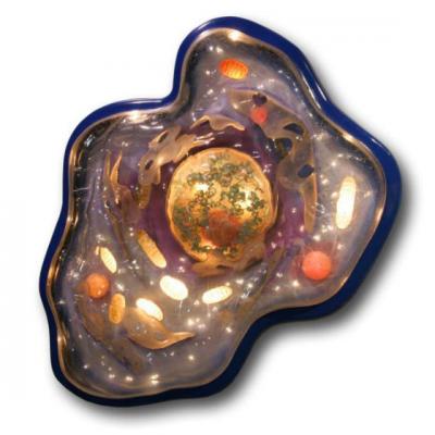 Descoperire: Diabetul, provocat de un virus!