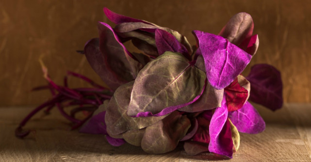 Loboda: Beneficii pentru sanatate si cum sa o preparam