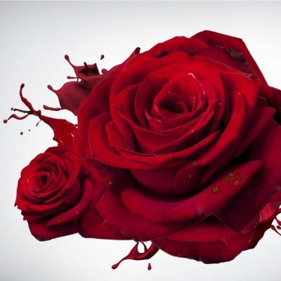 Top 30 legile lui Murphy despre dragoste