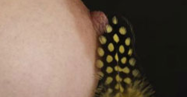 Ingrijeste-ti sanii - Un cadou pentru sanatatea ta