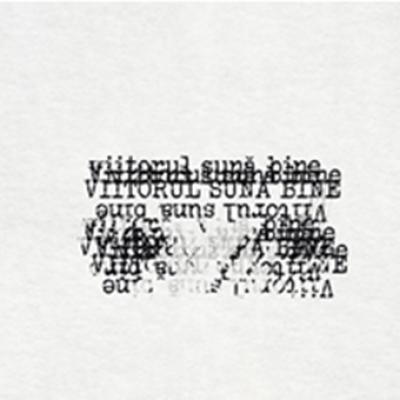 Viitorul sună bine cu The Motans