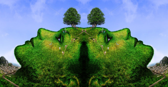 Ierburi de leac uitate pentru trup si suflet